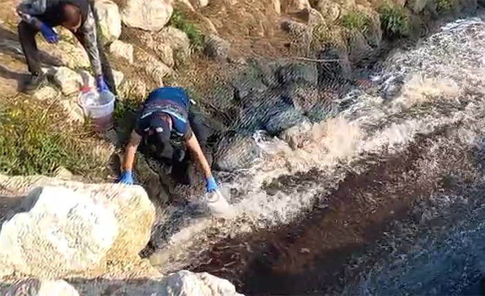 Ceyhan Nehri’nde balık ölümleri