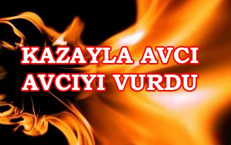 AVA GİDEN BİR KİŞİ, BAŞKA BİR AVCIYI VURDU