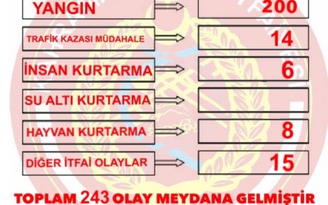 BAYRAM TATİLİNİN BİLANÇOSU:243 OLAY