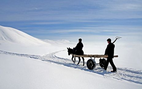 “TARIM VE İNSAN“ KONULU RESİM SERGİSİ AÇILIYOR