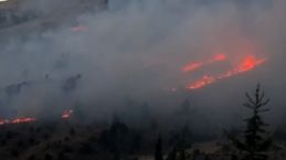 Kahramanmaraş'ta orman yangını