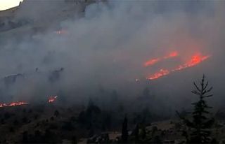 Kahramanmaraş’ta orman yangını